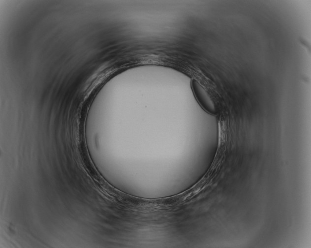 X0000097750291200803070849