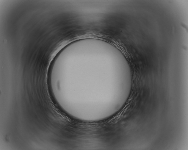 X0000097750292200803070849