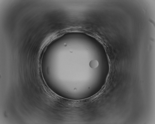 X0000097750293200803070849