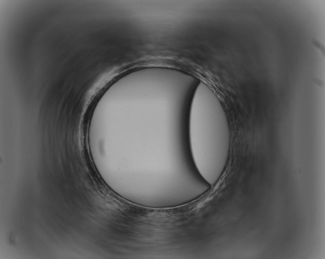 X0000097750294200803070849