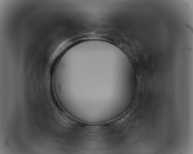 X0000097750295200803070849