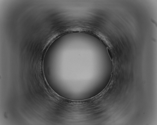 X0000097750297200803070849