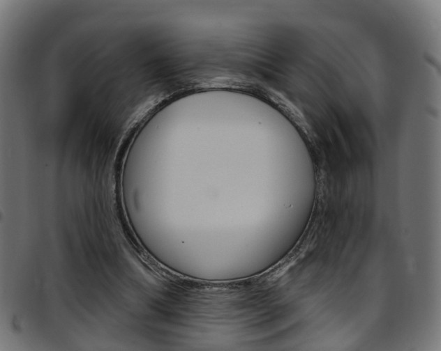 X0000097750298200803070849