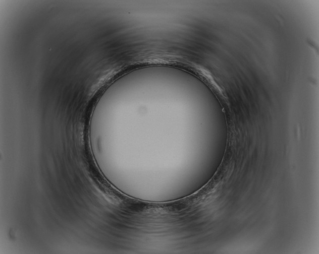 X0000097750299200803070849
