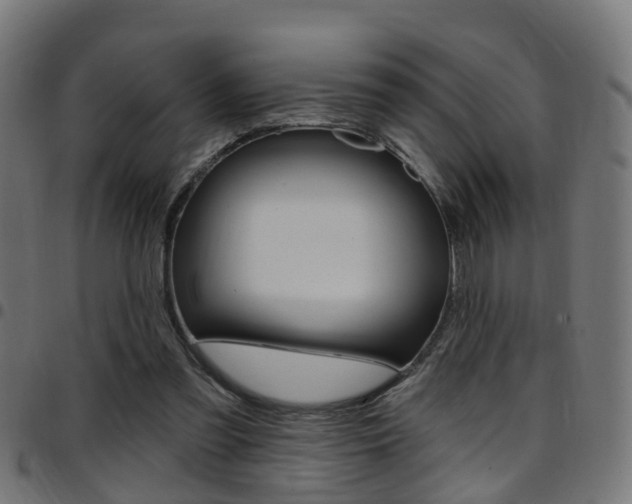 X0000097750301200803070849