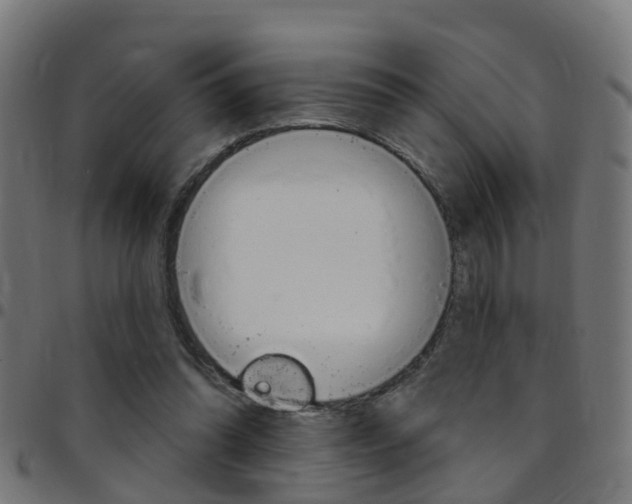 X0000097750302200803070849