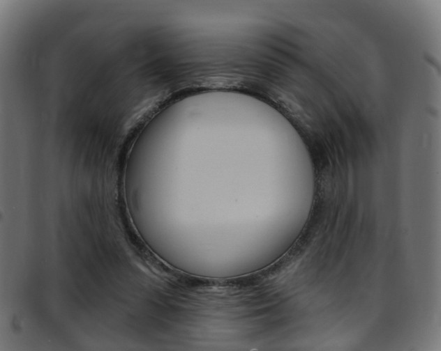 X0000097750303200803070849