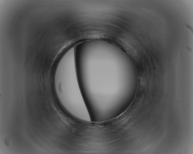 X0000097750304200803070849