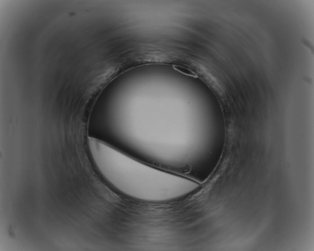 X0000097750305200803070848