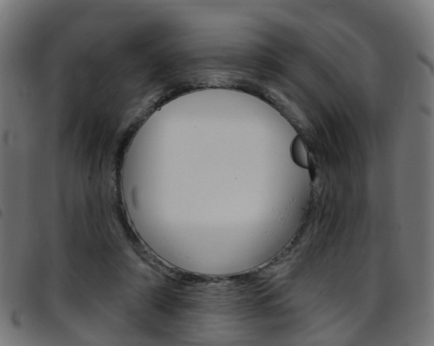 X0000097750306200803070848
