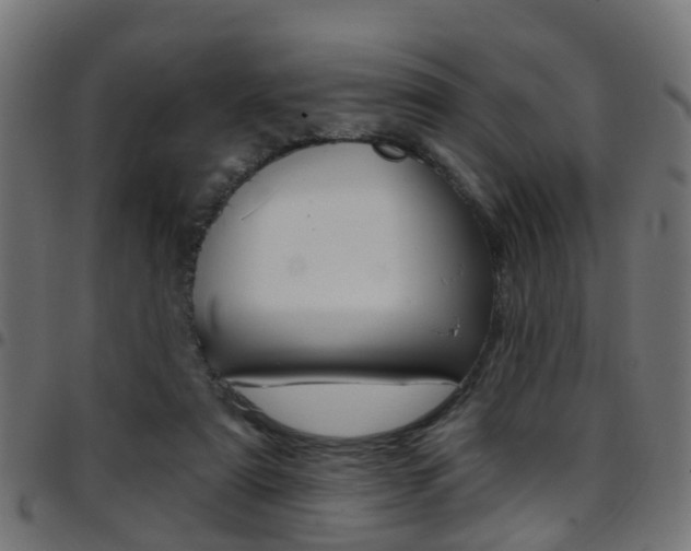 X0000097750307200803070848