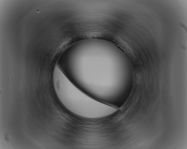 X0000097750308200803070848