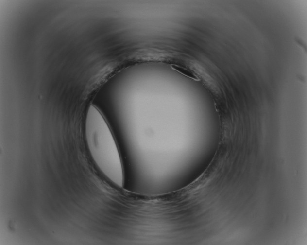 X0000097750309200803070848