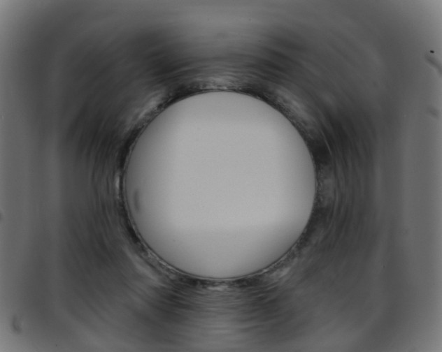 X0000097750310200803070848