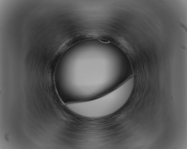 X0000097750312200803070848