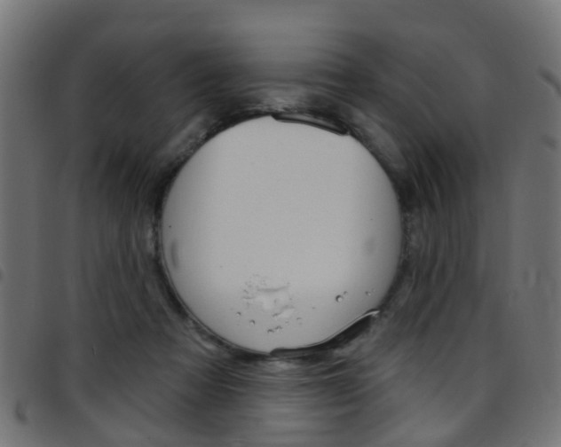 X0000097750313200803070848