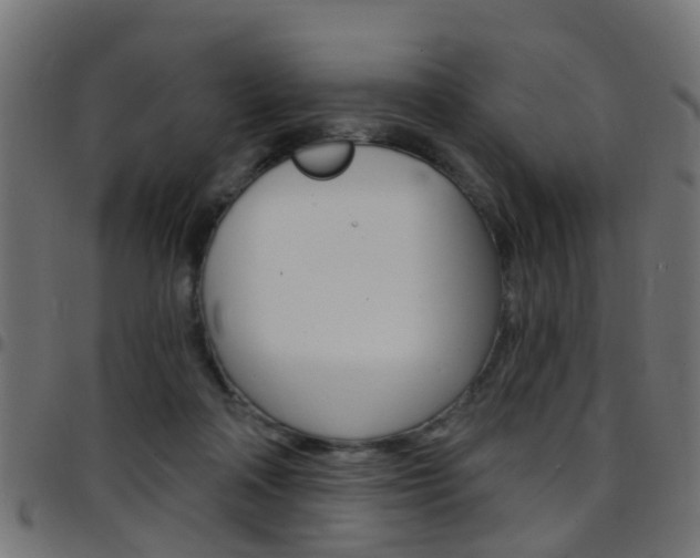 X0000097750314200803070848