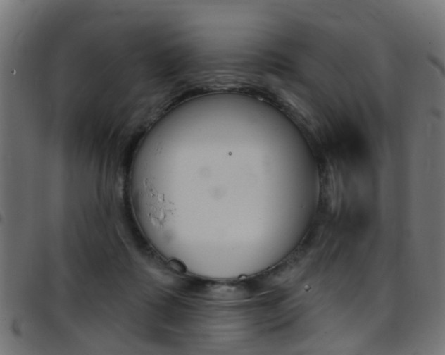 X0000097750315200803070848
