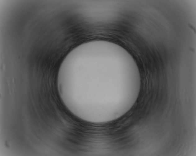 X0000097750316200803070848