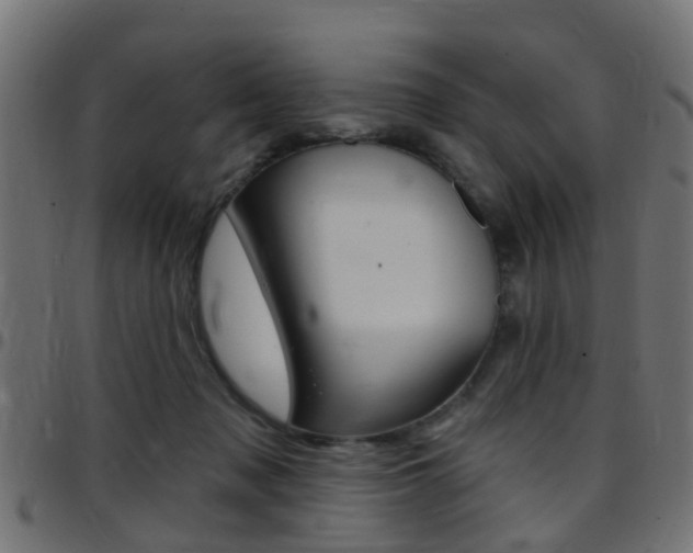 X0000097750317200803070848