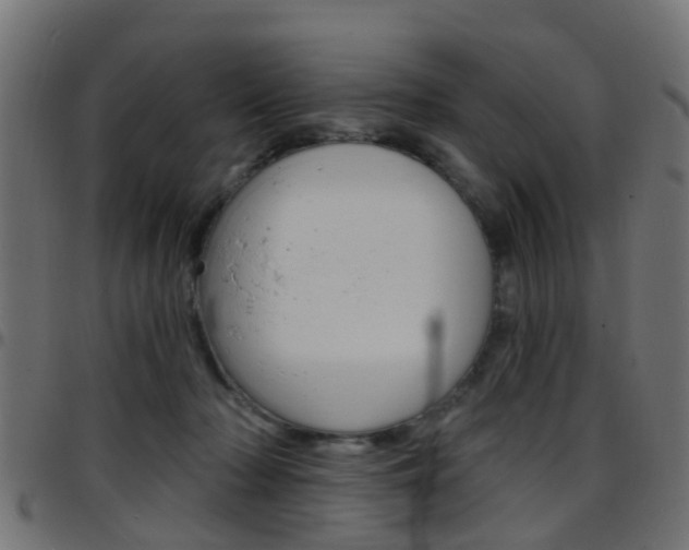 X0000097750318200803070848