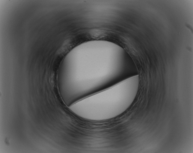 X0000097750319200803070848