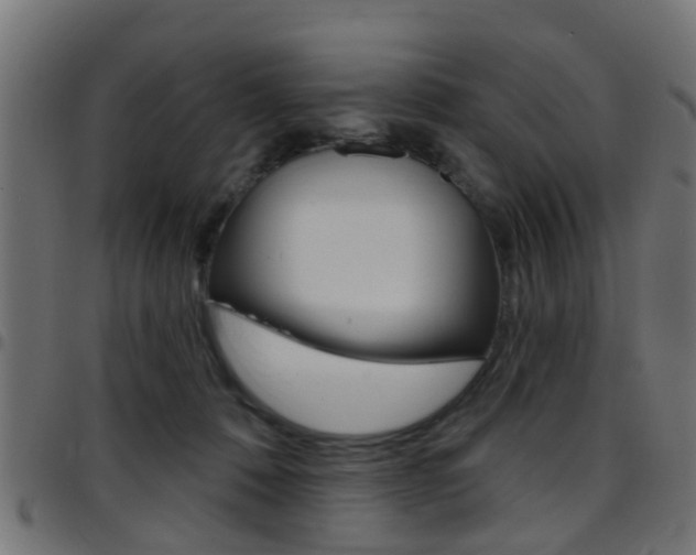 X0000097750320200803070848