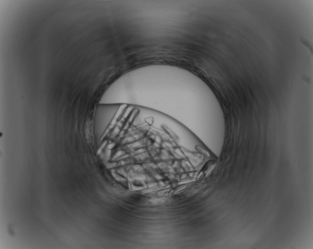 X0000097750323200803070848