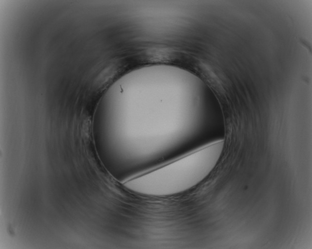 X0000097750325200803070848