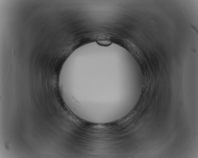 X0000097750326200803070848