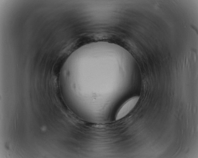 X0000097750327200803070848