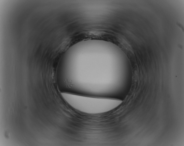 X0000097750328200803070848