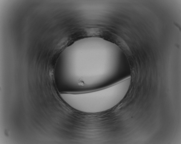 X0000097750329200803070848