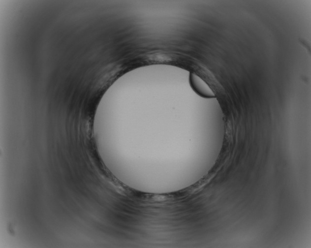 X0000097750330200803070848