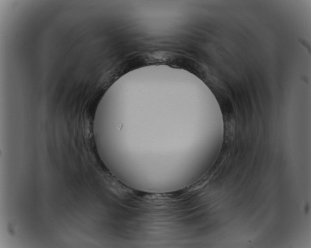 X0000097750331200803070848