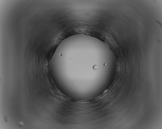 X0000097750332200803070848