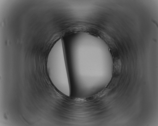 X0000097750333200803070848