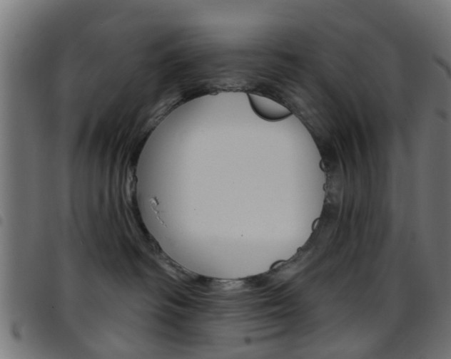 X0000097750334200803070848