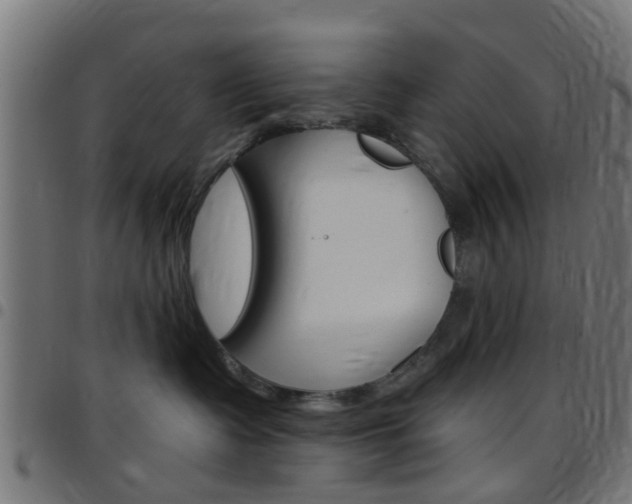 X0000097750335200803070848