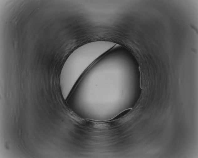 X0000097750336200803070848