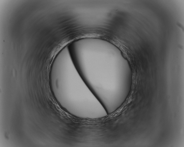 X0000097750337200803070847