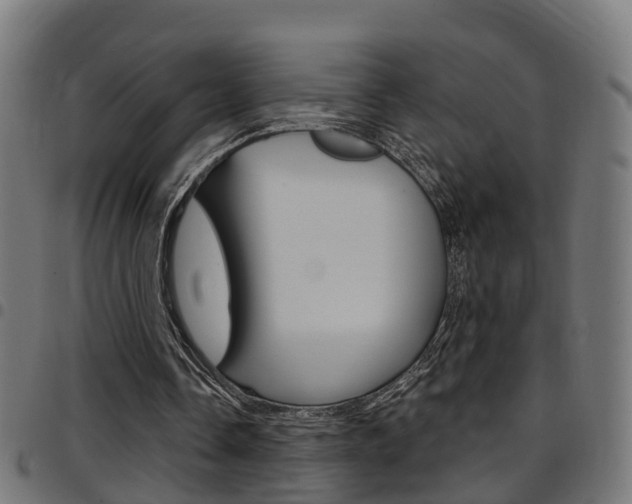 X0000097750338200803070847