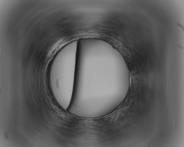 X0000097750339200803070847
