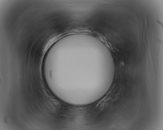 X0000097750340200803070847