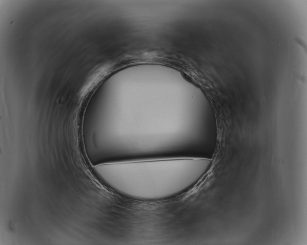 X0000097750341200803070847