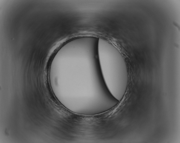 X0000097750342200803070847