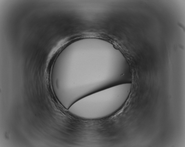 X0000097750343200803070847