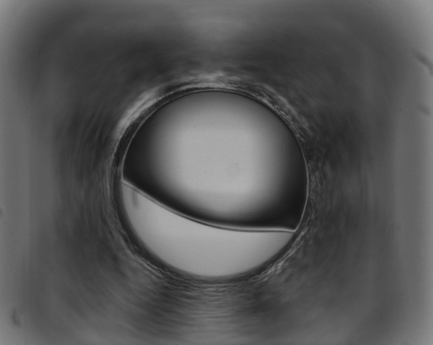 X0000097750344200803070847