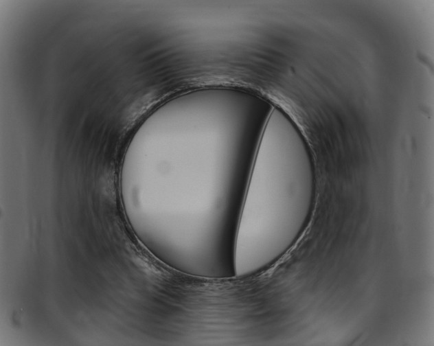 X0000097750345200803070847