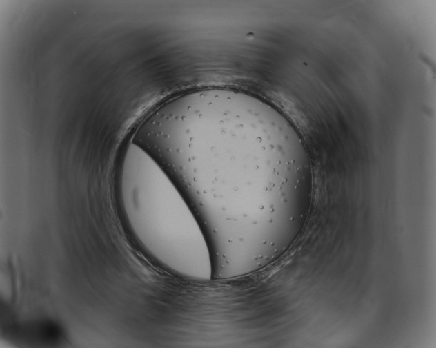 X0000097750346200803070847